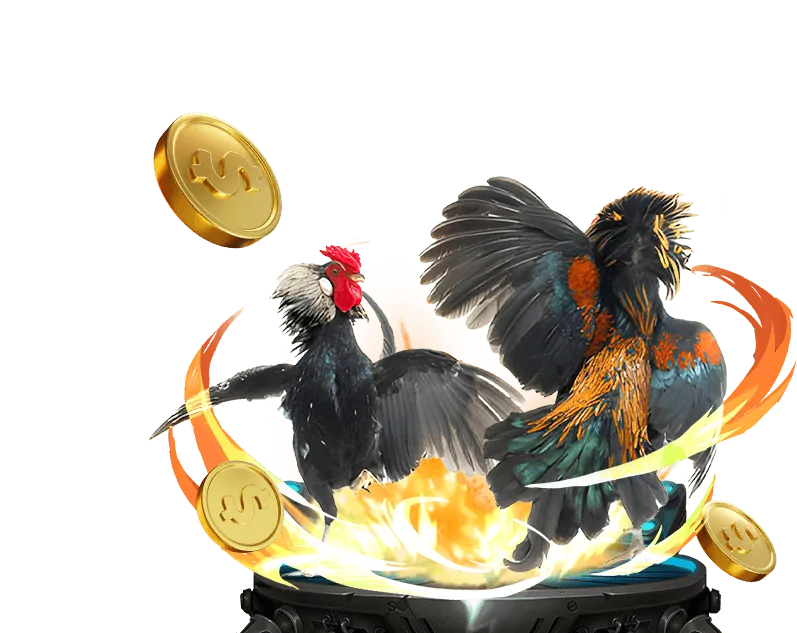 Nền tảng đá gà trực tuyến Thomo 67